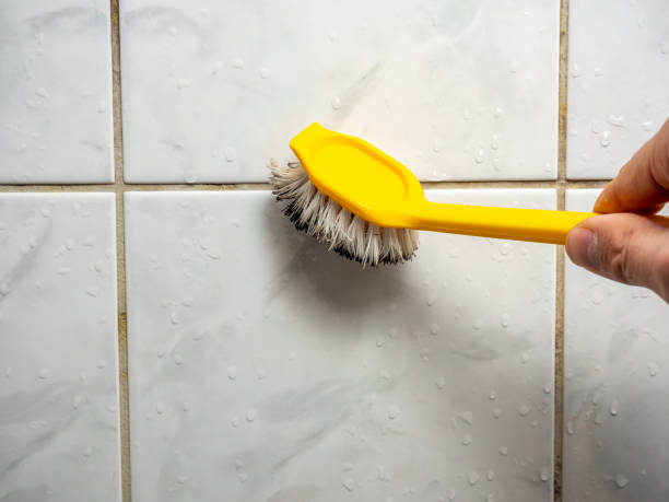 Best Toxic Mold Removal  in Norton, KS